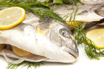 DIE SEEBRASSE VOR DEM KOCHEN