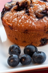 Blaubeermuffin und Blaubeeren auf einem Teller