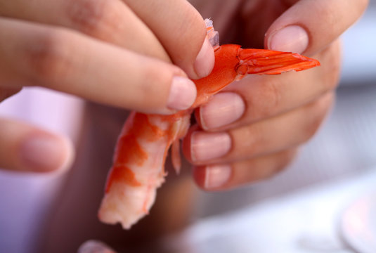Gambas II