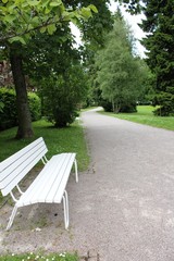 Fototapeta premium Parkweg