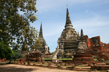 Fototapeta premium Ruins in Ayutthaya, Thailand.