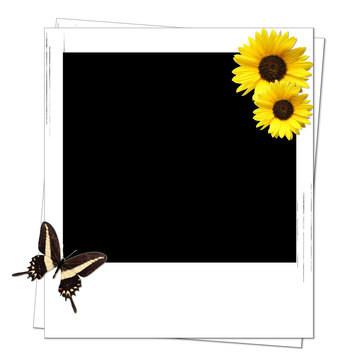 Polaroid frame with Sunflowers
