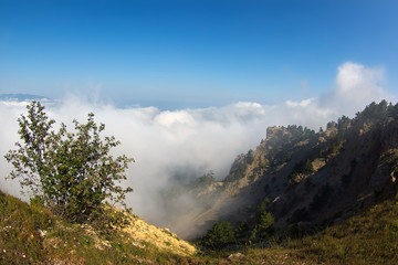 Walking in the clouds