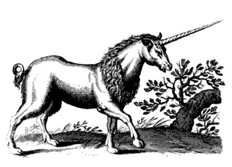 unicorn © Alan Z. Uster