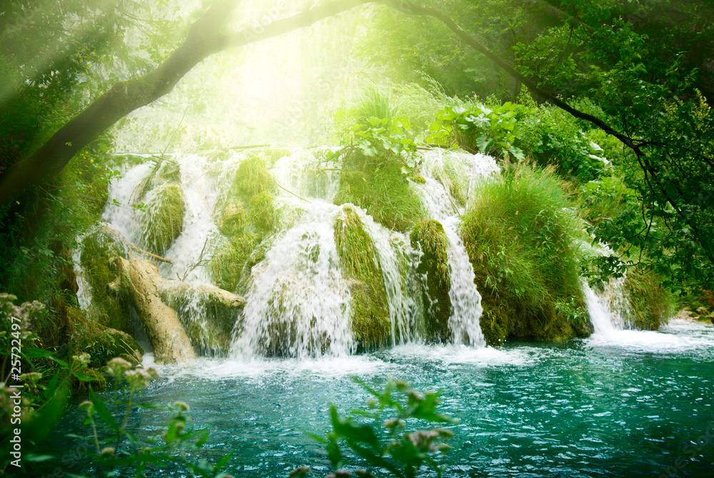 Canvas Prints waterfall in deep forest