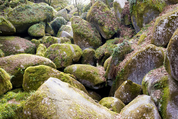 Naklejka na ściany i meble big rocks in a brittany forest