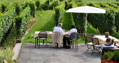 terrasse au milieu d'un vignoble