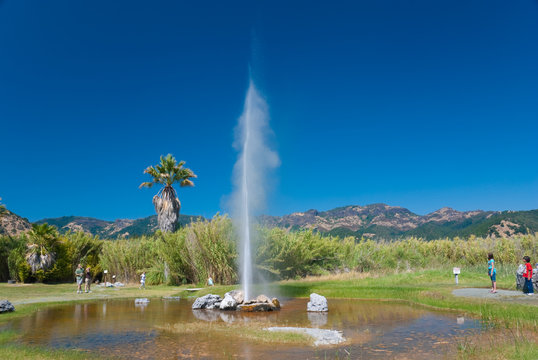 Calistoga old faithful geyser california