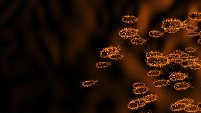 bacteria 01