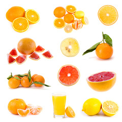 Fototapeta na wymiar Big collection of citrus fruits