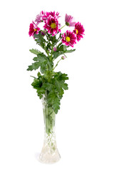 Bouquet of chrysanthemums