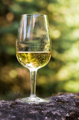 Verre de vin blanc