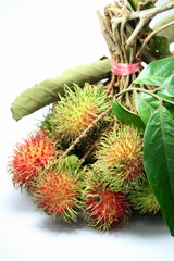 rambutan thai fruit