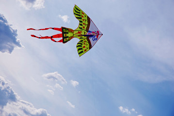 Flying kite