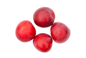composition of plum no white