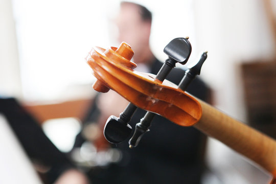 musiker mit streichinstrumenten