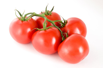 Five tomatoes on a stem