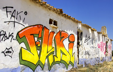 Grafitti painted in abandoned house.