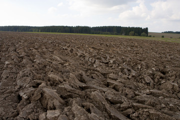 Ploughed field