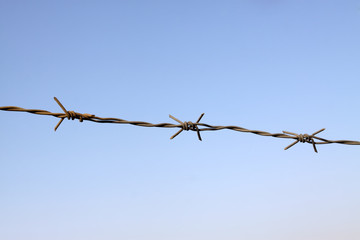 barbed wire Wire fence