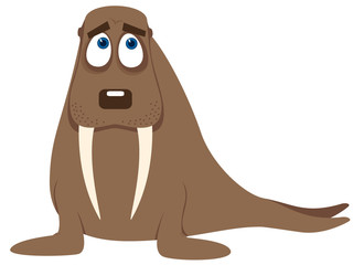 walrus