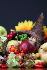 Autumn cornucopia - symbol of food and abundance