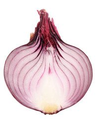Single cross dark-red fresh onion
