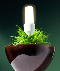 clean energy © nenetus