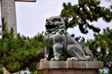 lion