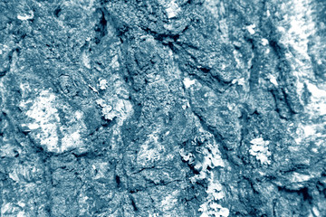 Natural Blue Pattern