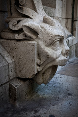 Ornamental gargoyle from Sacre Coeur Cathedral, Paris.