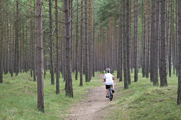 Obraz premium Boy in a forest