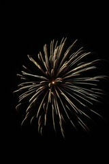 Naklejka premium fuochi d' artificio 2