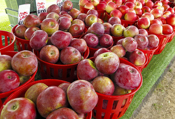 Organic Apples displayed at farmers market