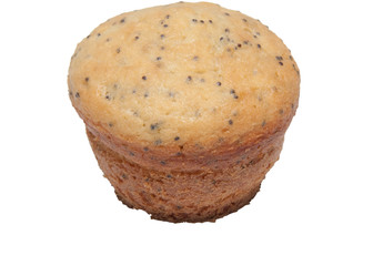 single muffin