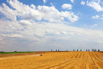 Fototapeta na wymiar Agricultural landscape, machinery harvesting wheat, Europe.