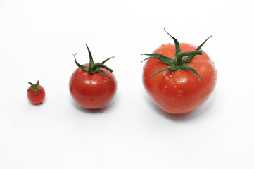 Tomaten