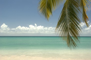 Le paradis existe en Martinique