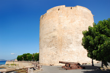 Torre de l' Espero Reial