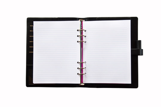 Daily on white background