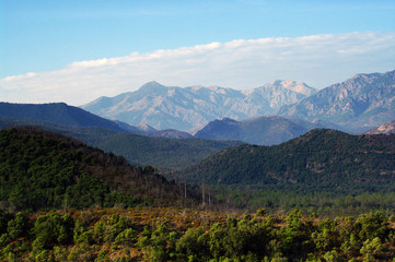 Corse, paysage du Cortenais