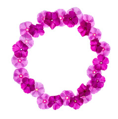 Fototapeta na wymiar pink floral frame