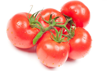Tomatoes