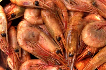 Foto auf Leinwand Smoked shrimps © nicke