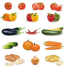 The big colorful group of vegetables. Vector.