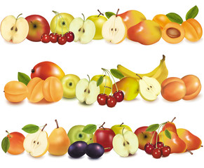 Three fruit design borders isolated on white. Vector.
