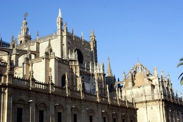 Fototapeta na wymiar Katedra w Sewilli