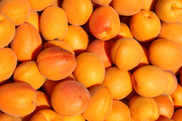 apricot