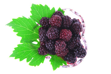 portion of wild berry