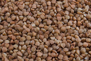 buckwheat